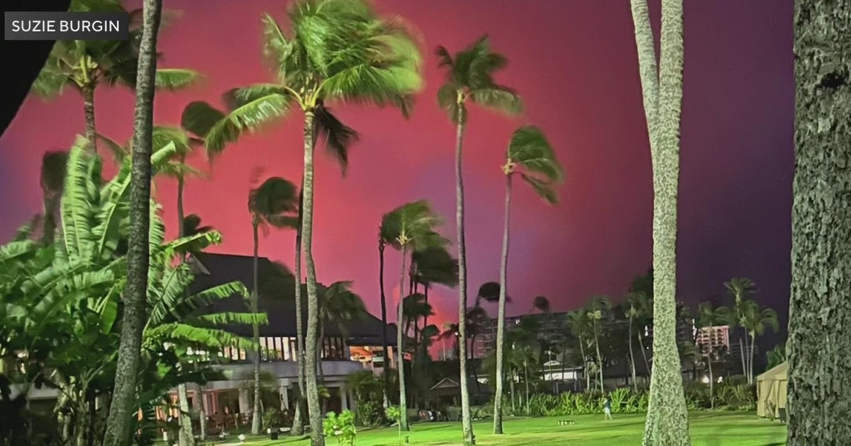 at-o-hare-hawaii-vacationers-describe-devastation-in-maui-cbs-chicago