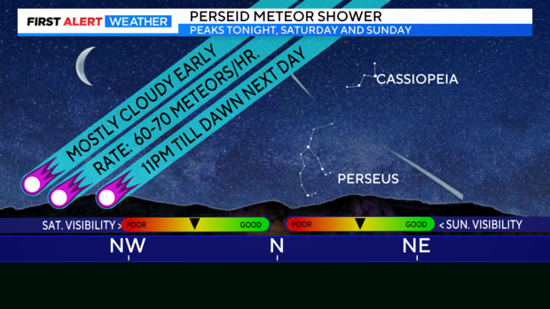 perseid-meteor-shower.png 