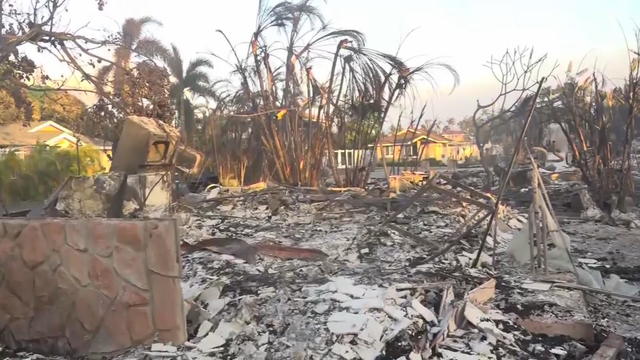 maui-wildfire-in-hawaii-impacts.jpg 