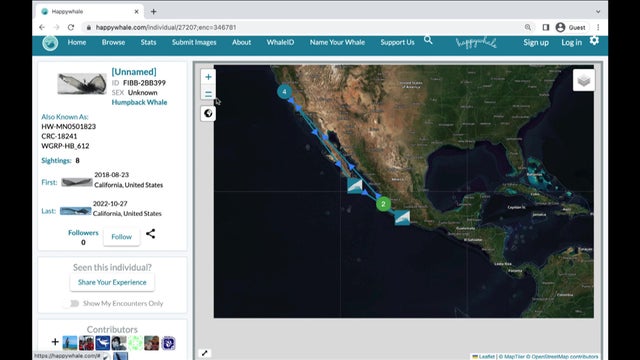 happy-whale-map-2.jpg 