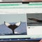 Identifying individual humpback whales online