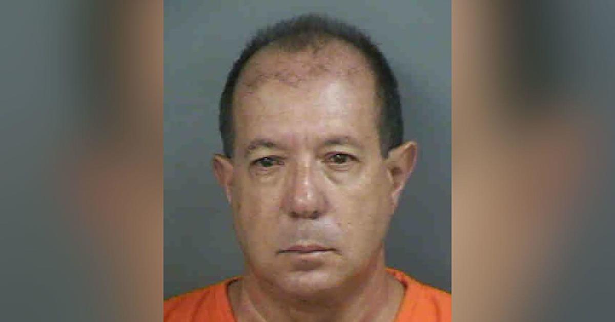 Florida male accused posing as a veterinarian, operating on a pregnant puppy