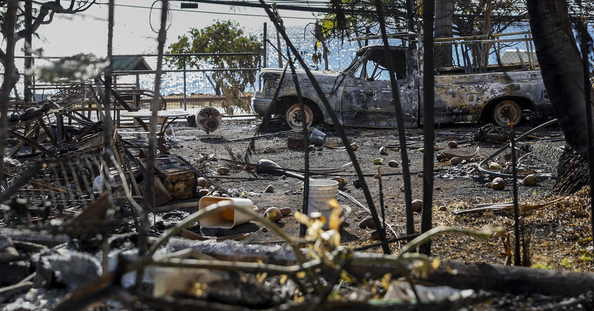 Maui wildfires death toll tops 100 as painstaking search for victims continues