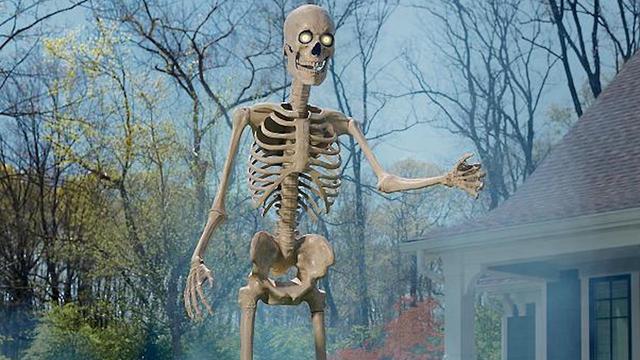 Stanley Skeleton Ornament