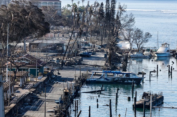 An aerial view of Lahaina devestation.