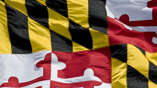 Maryland State Flag Closeup 
