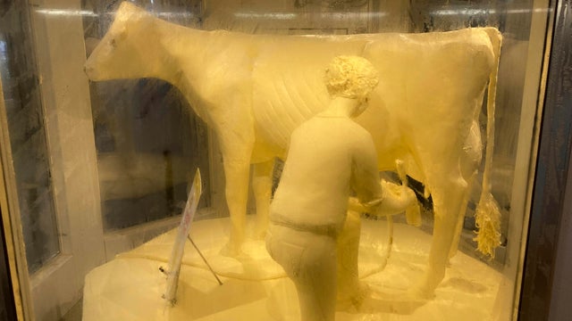 butter-cow.png 