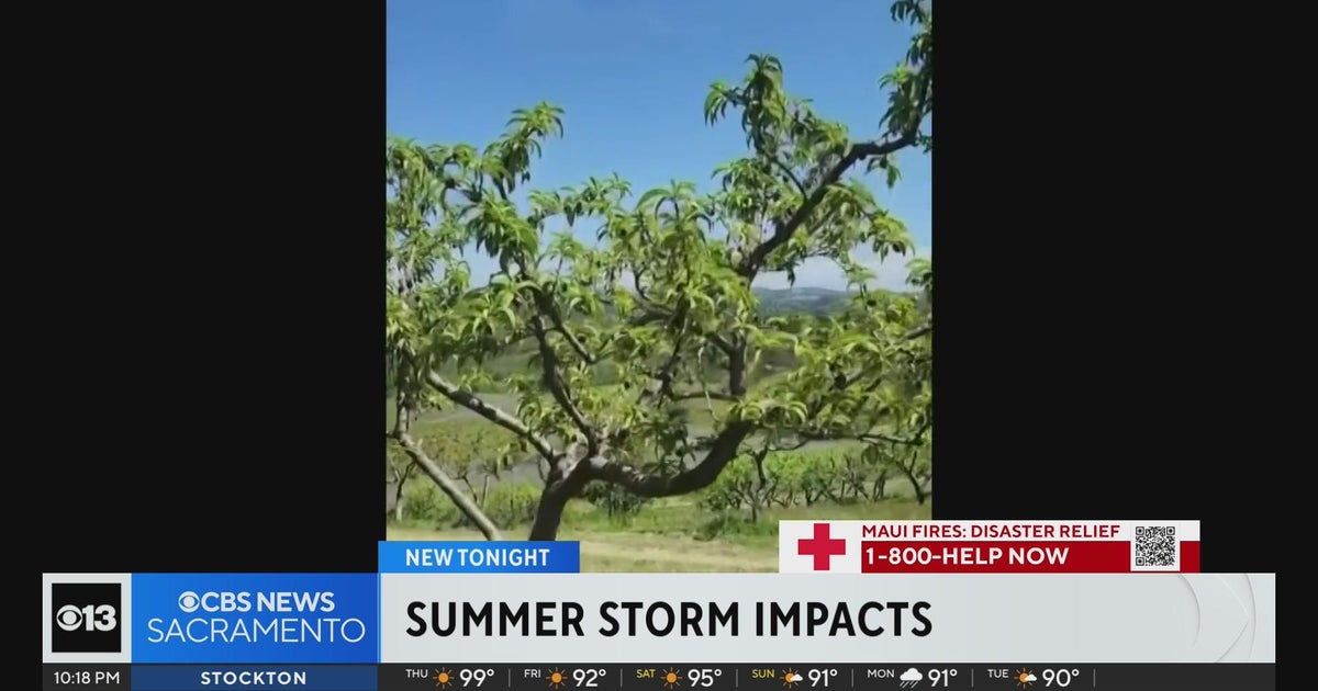 California farmers paying close attention to potential summer tropical system