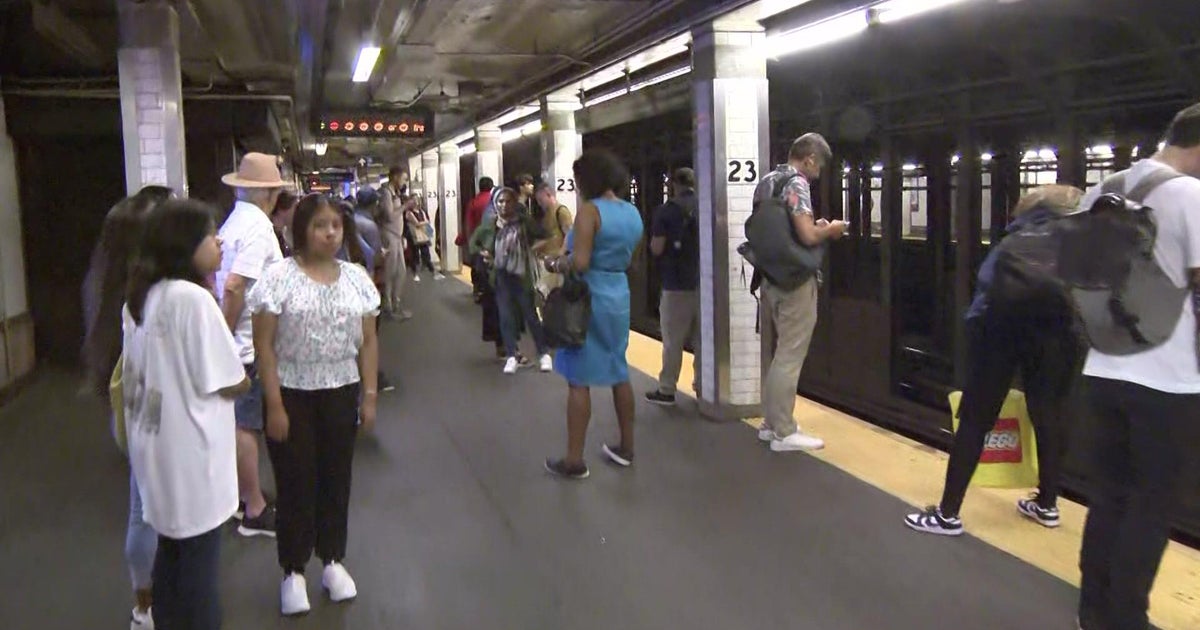 MTA Dog on subway tracks causes extensive delays on 4/5/6 lines CBS