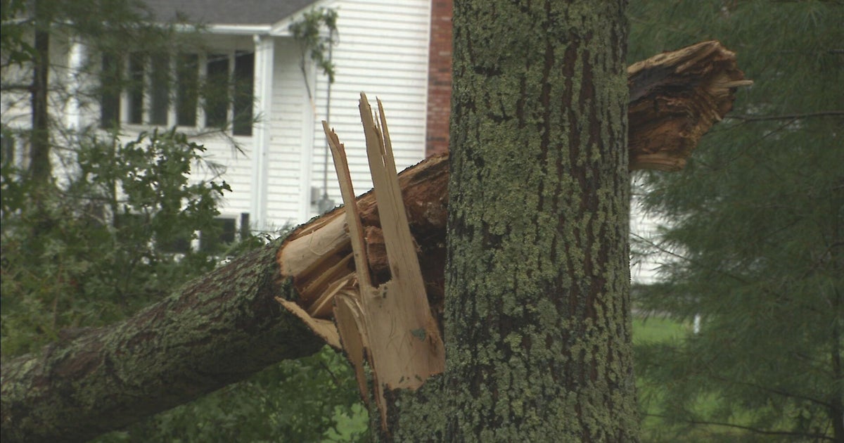 Why have there been so many tornadoes this year in New England? - Vimarsana News
