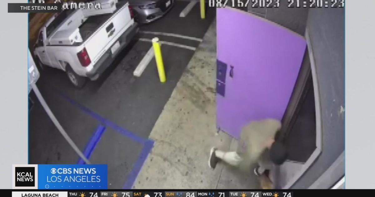 Man Punches Dog Standing In Doorway To Bar - Cbs Los Angeles