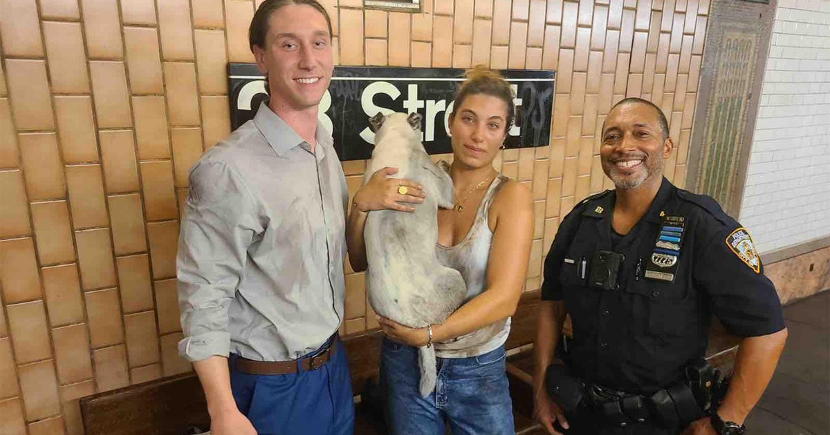 NYPD reunites dog that disrupted subway service with owner - CBS New York