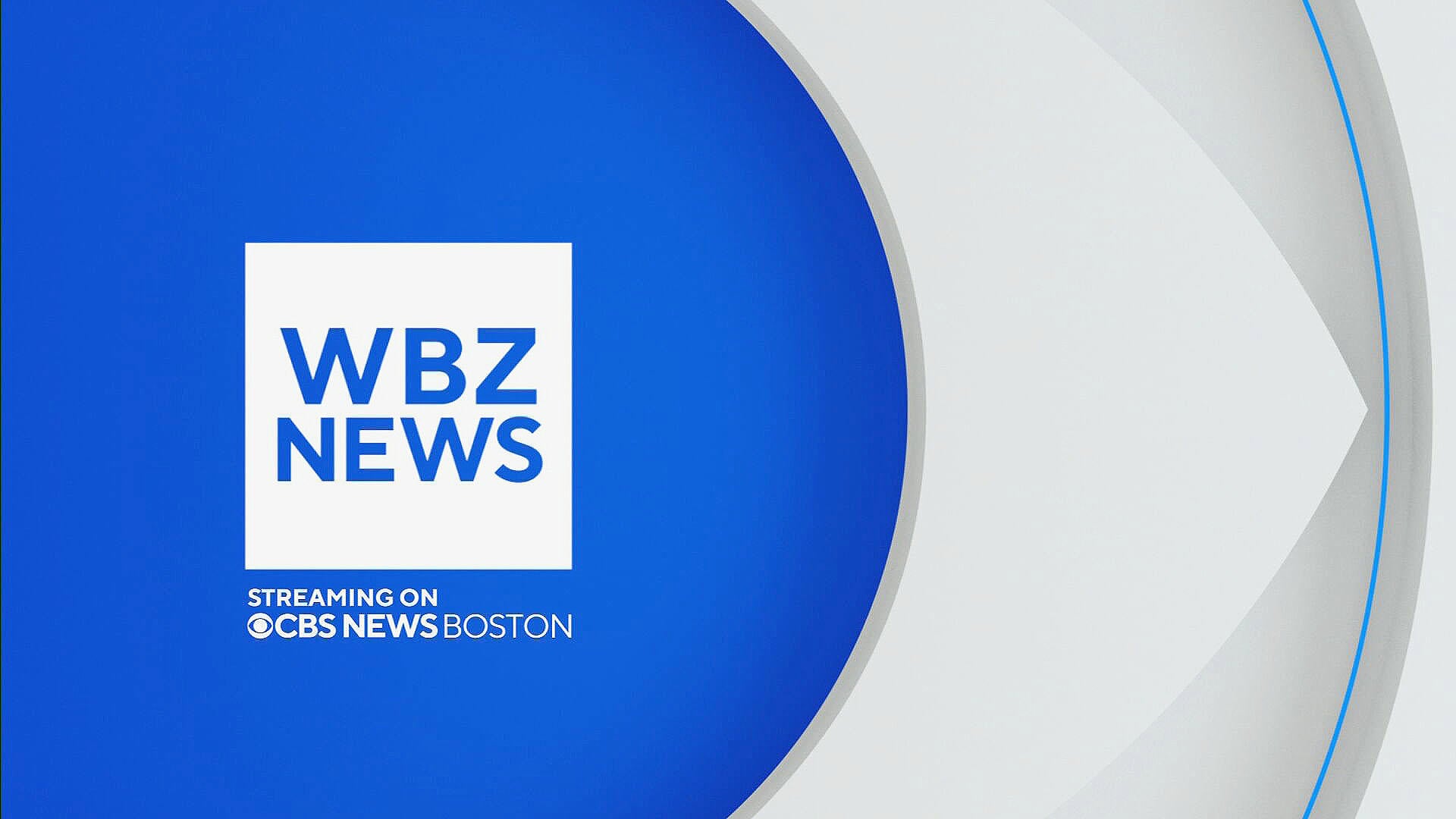 NEWS/NEWS 20th Anniversary LIVE 2023 in… NEWS 20th Anniversary LIVE 2023 in TOKYO DOME BEST HIT