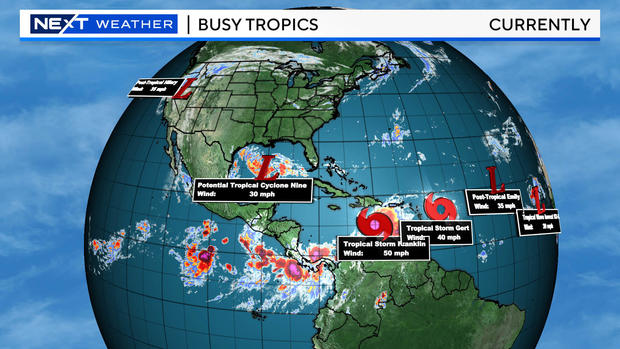 busy-tropics.jpg 