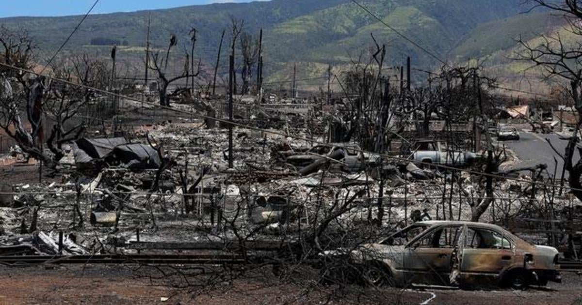 Maui Wildfire Caused By 