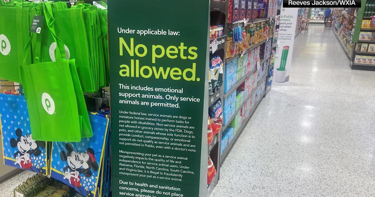 Non chain pet shop stores near me