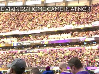 Minnesota Vikings - Stadium Dude