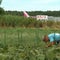 Japanese farmer vows to stay on ancestral land in middle of Narita airport