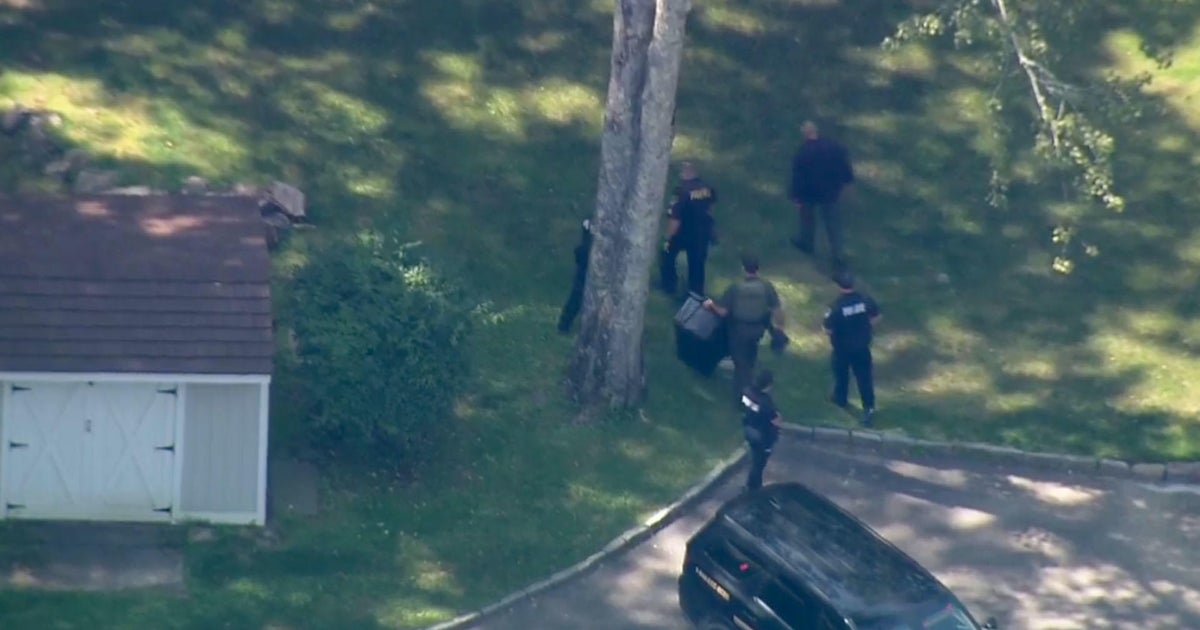 Boy or girl hurt in experience with bear in Bedford, N.Y. Bear killed Boy or girl hurt in experience with bear in Bedford, N.Y. Bear killed