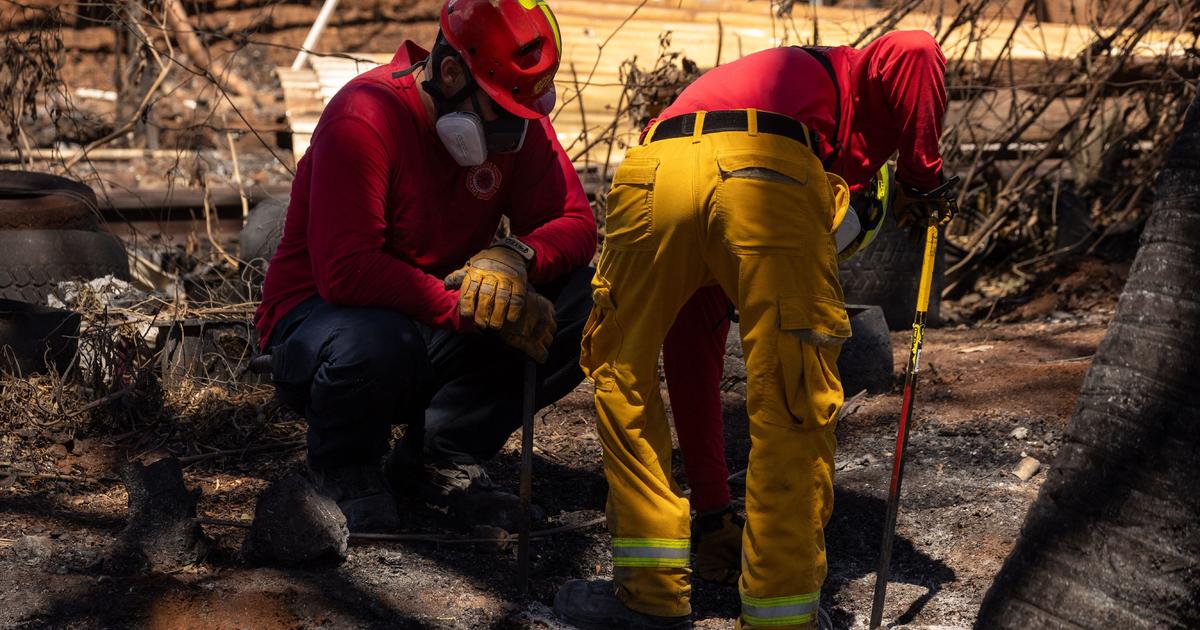 Икономическите щети на Хавай от горските пожари възлизат на до 6 милиарда долара, изчисления на Moody`s