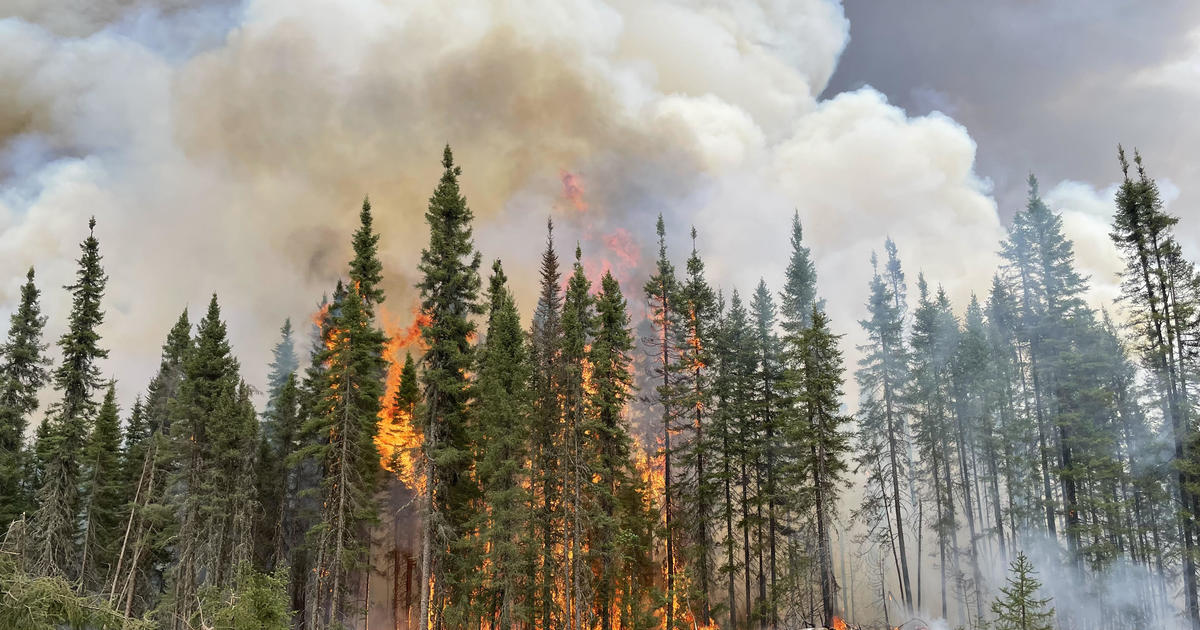 Extreme fire weather fueled by climate change played significant role in Canada’s wildfires, new report says