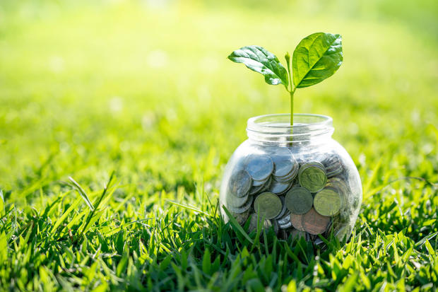 Coin tree Glass Jar Plant growing from coins outside the glass jar on blurred green natural background money saving and investment financial concept 
