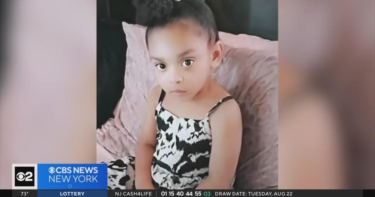 3-year-old Long Island girl hospitalized after being struck by stray ...