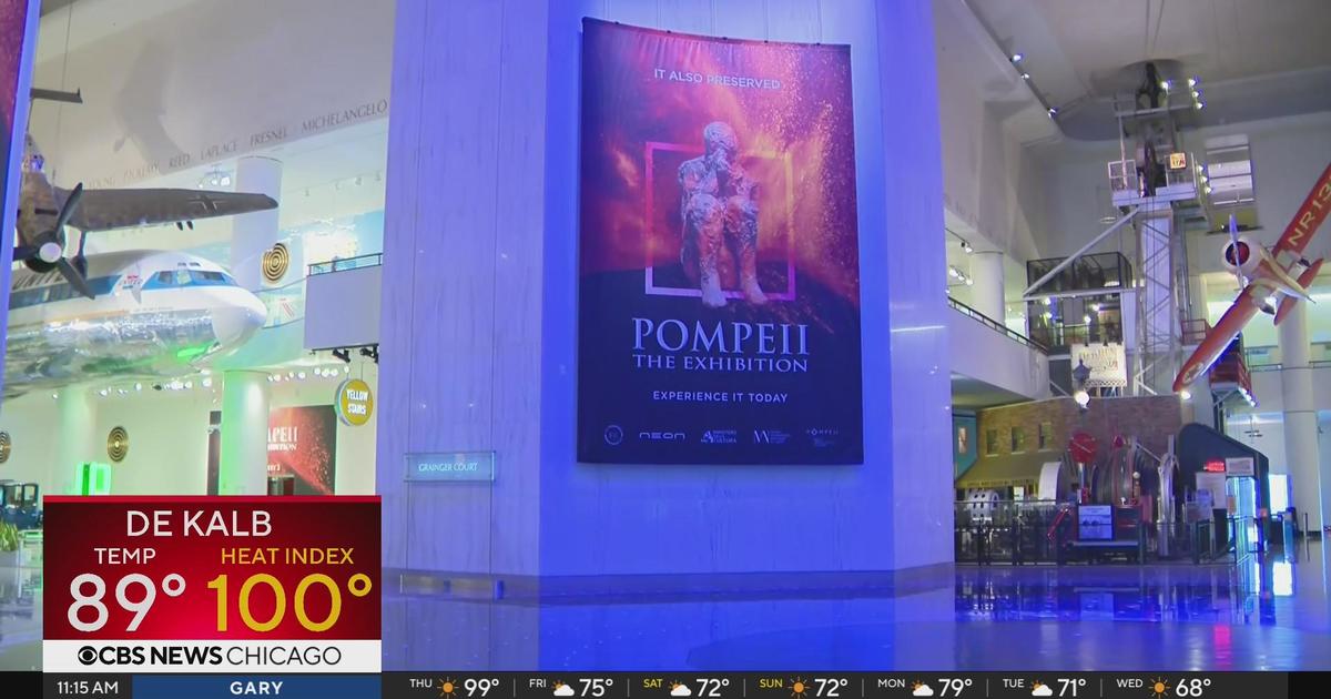 new-pompeii-exhibit-opening-at-museum-of-science-and-industry-cbs-chicago