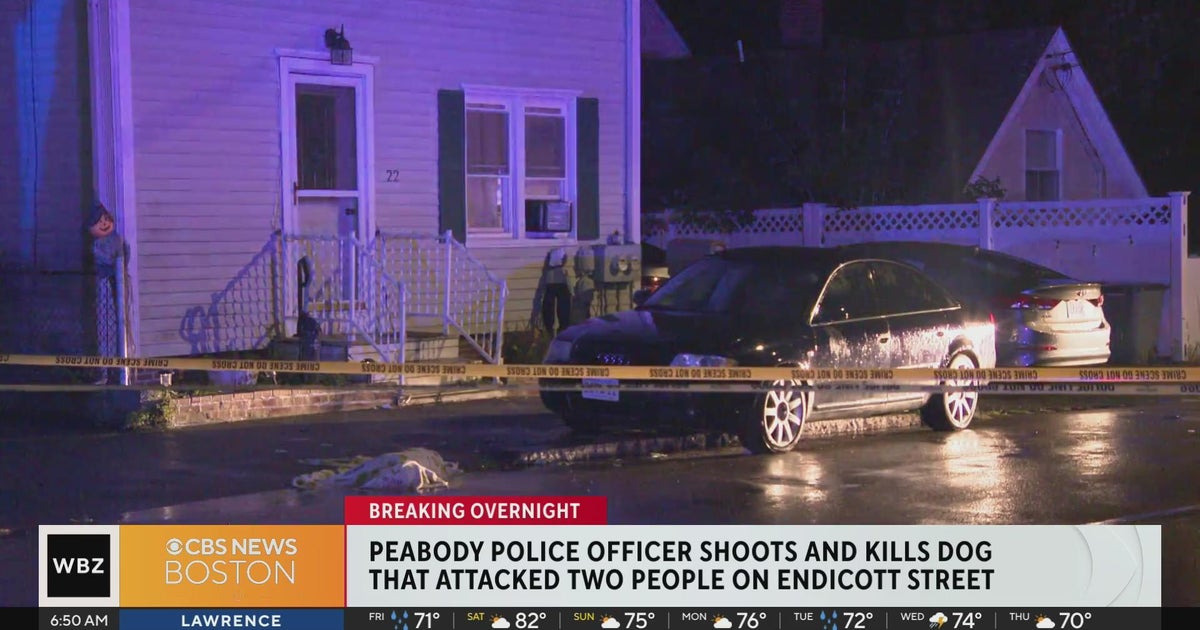 Peabody Police officer shoots, kills dog that attacked owner and ...