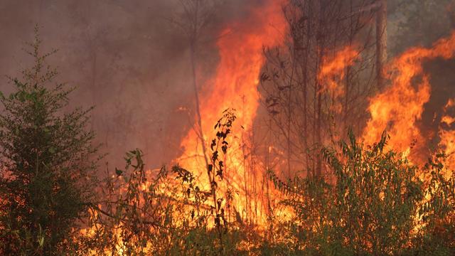 Massive Louisiana wildfire forces hundreds of evacuations amid scorching heat 