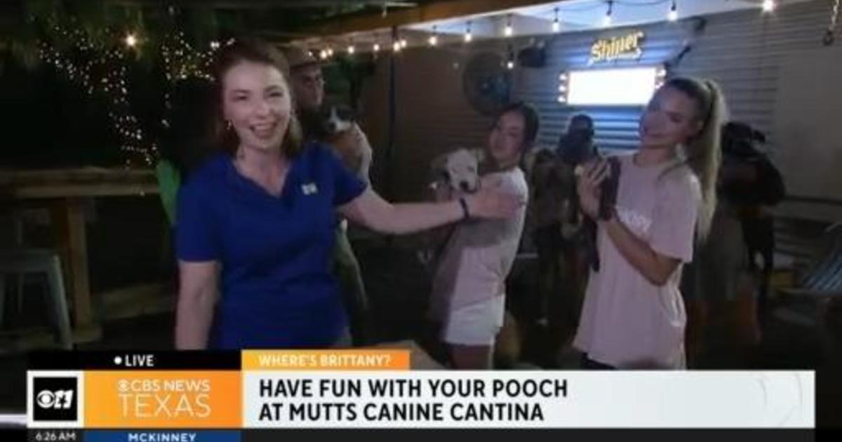 Have fun with your pup at Mutt's Canine Cantina CBS Texas