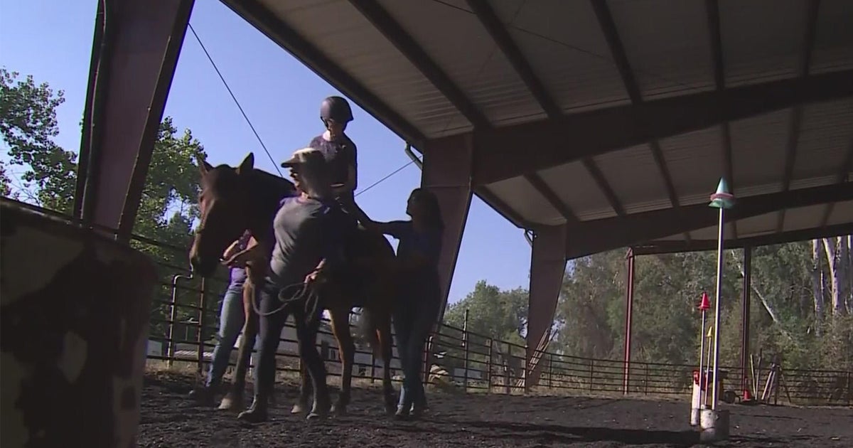 Horses for Healing helping kids and adults with special needs