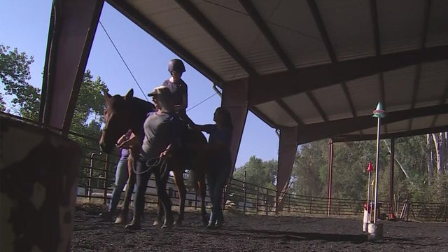 horses-for-therapy.jpg 