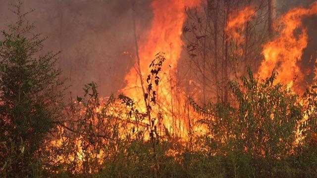 cbsn-fusion-wildfires-threaten-southwestern-louisiana-amid-intense-heat-thumbnail-2239637-640x360.jpg 