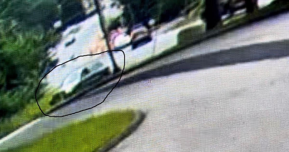 SUV sought in hit-and-run involving child riding bicycle on Boston Post Road in Marlboro