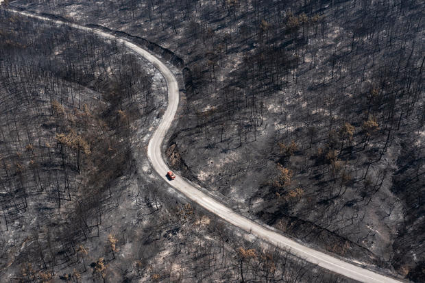 Alexandroupolis Wildfire Destroys Greece's National Forest 