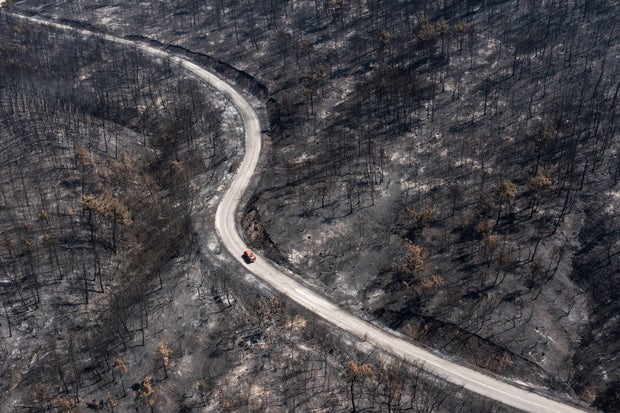 Alexandroupolis Wildfire Destroys Greece's National Forest