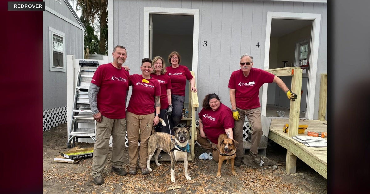 Sacramento-based pet rescue to help in Hurricane Idalia aftermath in Florida