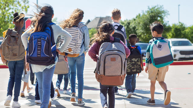 School children walk away from camera in crosswalk 