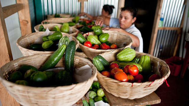 EL SALVADOR-FARMERS BASKET-PROJECT 