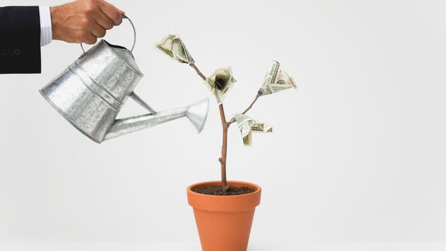 Businessman watering potted money tree, cropped 