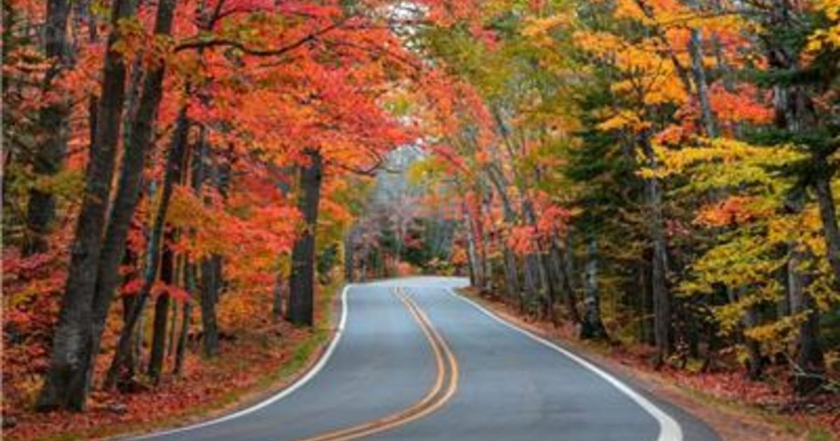 Get ready for a vibrant fall season: 2023 Michigan peak color predictions are in