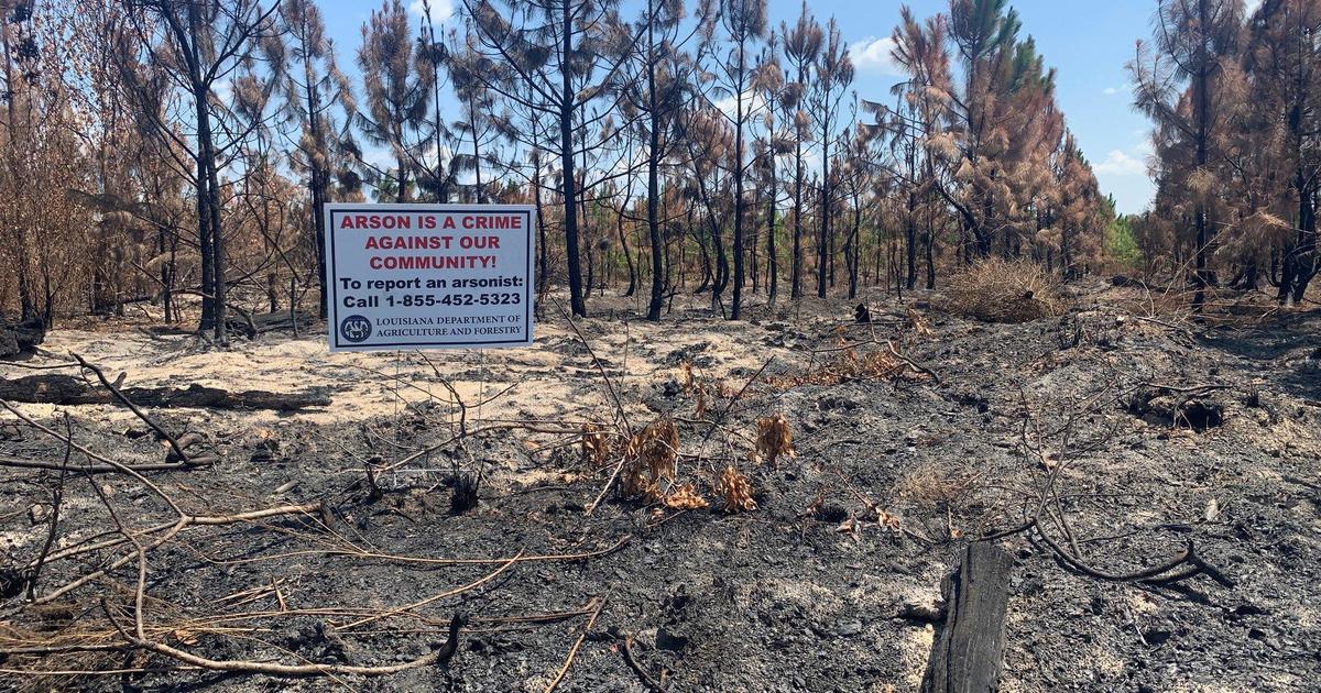 Louisiana's Tiger Island wildfire ruled arson, officials say