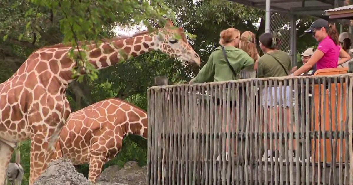 Judge moves to dismiss lawsuit on controversial proposal to establish water park near Zoo Miami Judge moves to dismiss lawsuit on controversial proposal to establish water park near Zoo Miami