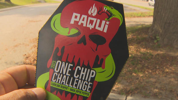 One Chip Challenge 