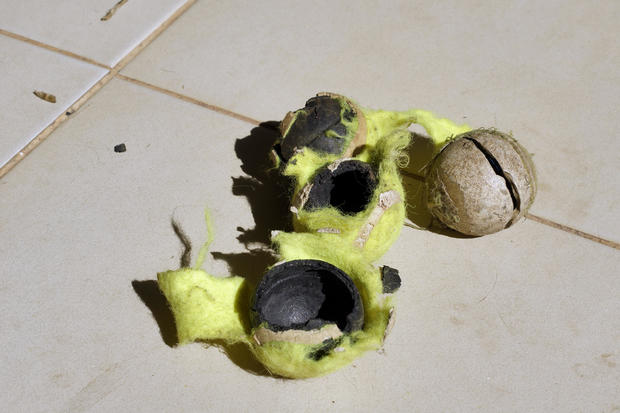 Tennis balls destroyed by the dog. 