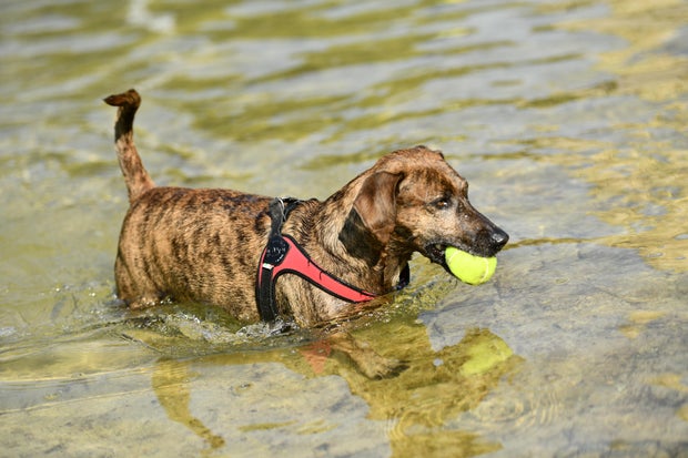 Italy On Highest Heatwave Alert As Extreme Temps Sweep Across Europe