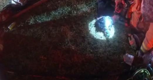 North Richland Hills firefighters rescue revive dog from house fire North Richland Hills firefighters rescue revive dog from house fire