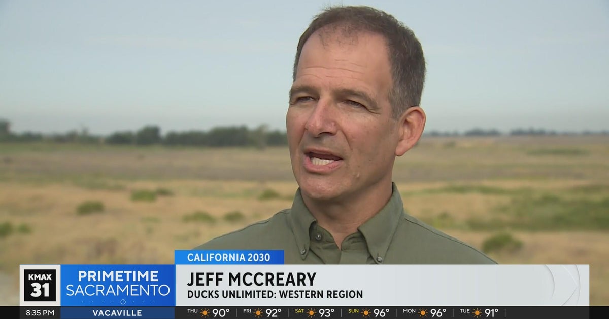 California 2030: Jeff McCreary