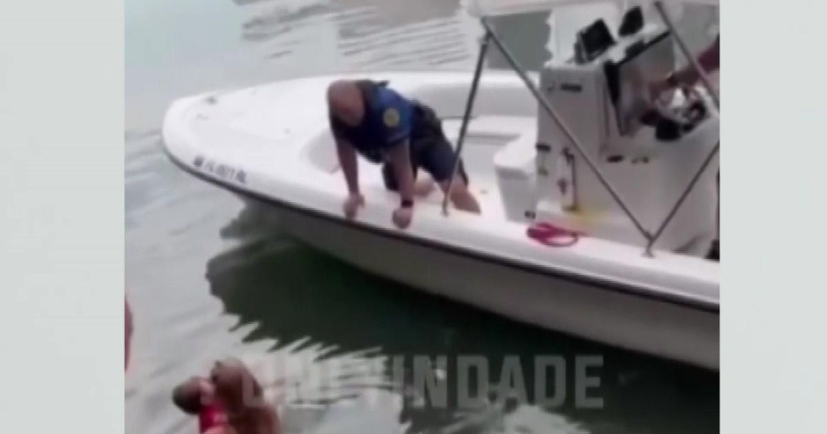 Caught on movie: Female faces fees soon after jumping into Biscayne Bay with boy or girl